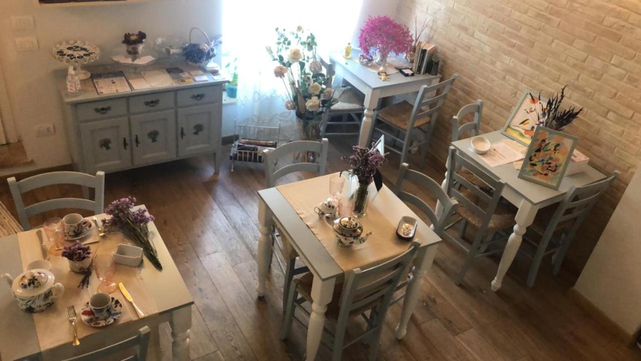 تْشيفيتانوفا ماركي B&B Domar المظهر الخارجي الصورة